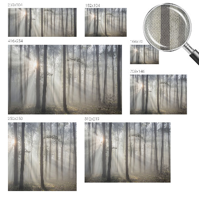 3D fototapetas Æterisk skov