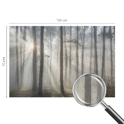 3D fototapetas Æterisk skov