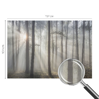 3D fototapetas Æterisk skov