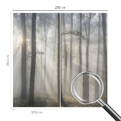 3D fototapetas Æterisk skov