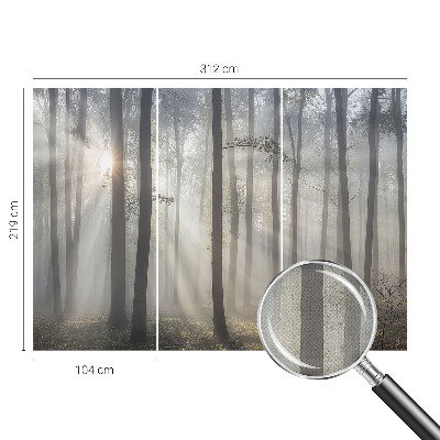 3D fototapetas Æterisk skov