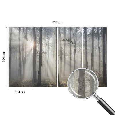 3D fototapetas Æterisk skov