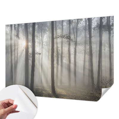 3D fototapetas Æterisk skov