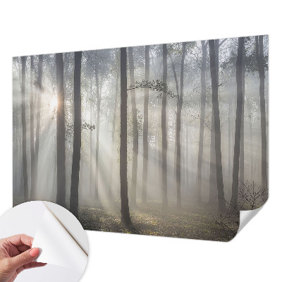 3D fototapetas Æterisk skov