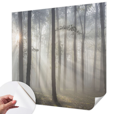 3D fototapetas Æterisk skov