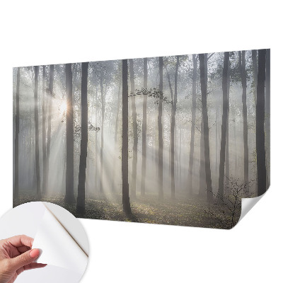 3D fototapetas Æterisk skov