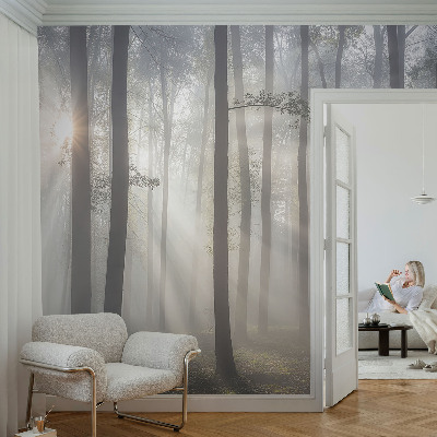 3D fototapetas Æterisk skov