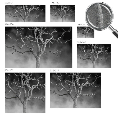 3D fototapetas su motyvu „Tåget træ“