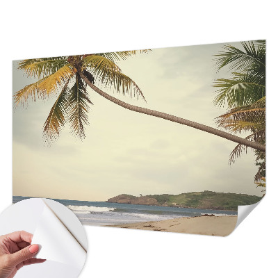 3D fototapetas sienoms su tropiniu kraštovaizdžiu