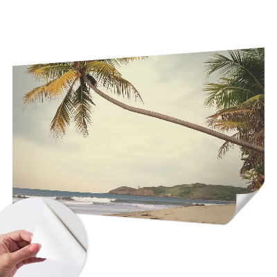 3D fototapetas sienoms su tropiniu kraštovaizdžiu