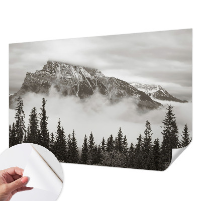 3D fototapetas sienoms su Bjerglandskabas motyvu