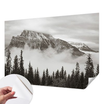 3D fototapetas sienoms su Bjerglandskabas motyvu