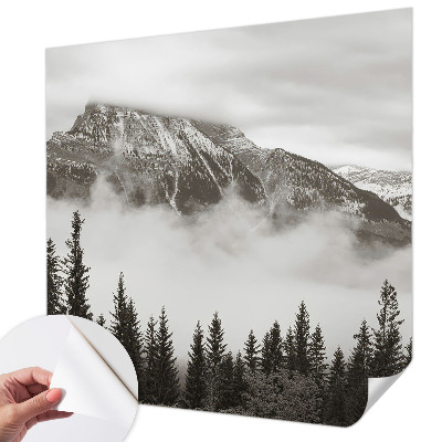 3D fototapetas sienoms su Bjerglandskabas motyvu