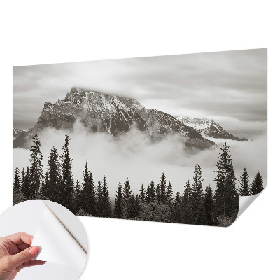 3D fototapetas sienoms su Bjerglandskabas motyvu