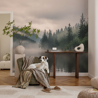 Tapetai Atmosferos pavojus