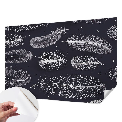 3D fototapetas su subtiliu plunksnų raštu