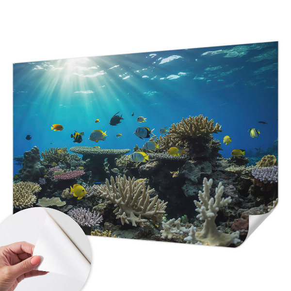 Fototapetas vaiko kambariui Undervandsverden