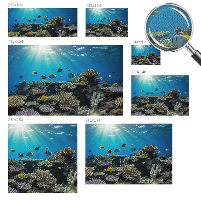 Fototapetas vaiko kambariui Undervandsverden