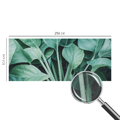 Tapetai Žalia gamta