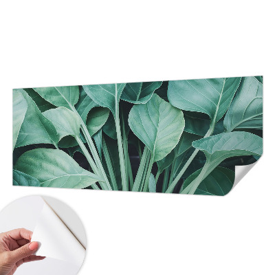 Tapetai Žalia gamta