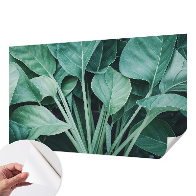 Tapetai Žalia gamta