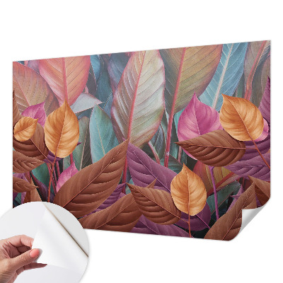 Fototapetai Spalvingas peilis