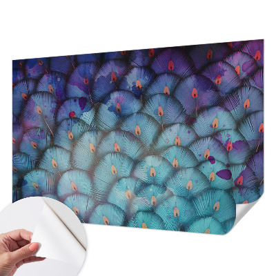 3D fototapetas sienoms su spalvingu plunksnos raštu