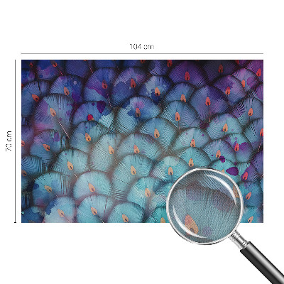 3D fototapetas sienoms su spalvingu plunksnos raštu