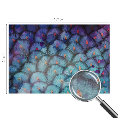 3D fototapetas sienoms Spalvingas fjeras