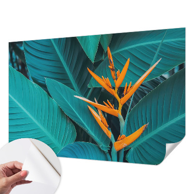 Fototapetai Bladrige bloomster