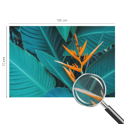 Fototapetai Bladrige bloomster