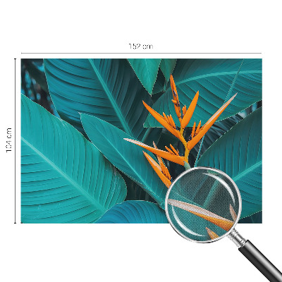 Fototapetai su „Bladrige Bloomster“ raštu