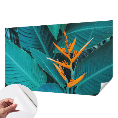 Fototapetai su „Bladrige Bloomster“ raštu