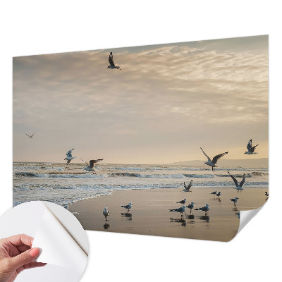 Savaime lipnus fototapetas Ro ved havet