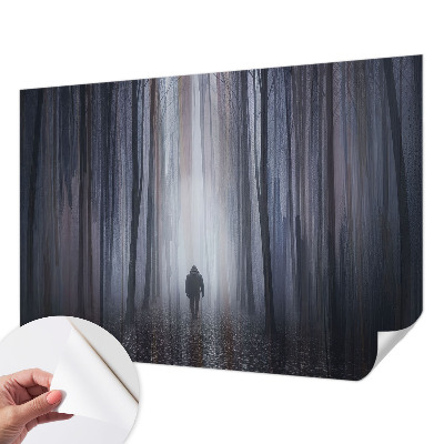 Fototapetai skandinaviško miško stiliaus dizainas