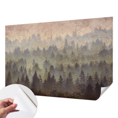 3D fototapetas sienoms su motyvu „Skovtåge“