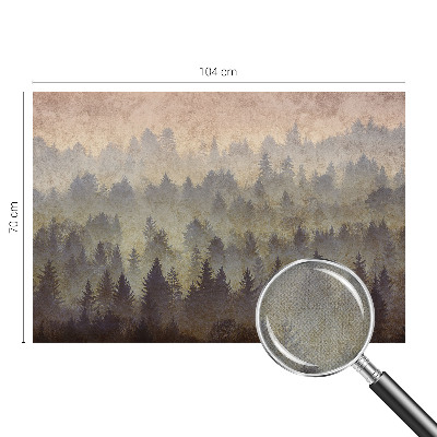 3D fototapetas sienoms Skovtåge