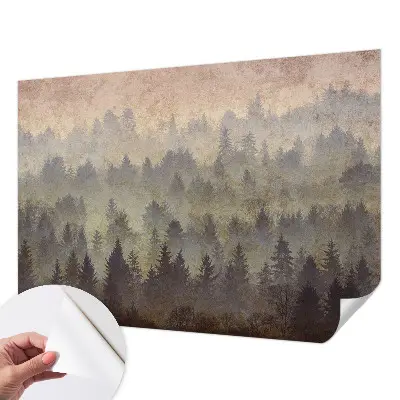 3D fototapetas sienoms su motyvu „Skovtåge“