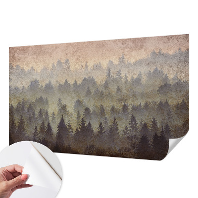 3D fototapetas sienoms su motyvu „Skovtåge“