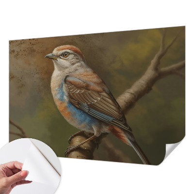 3D fototapetas Fugleportræt