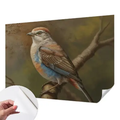 3D fototapetas su paukščių portretu