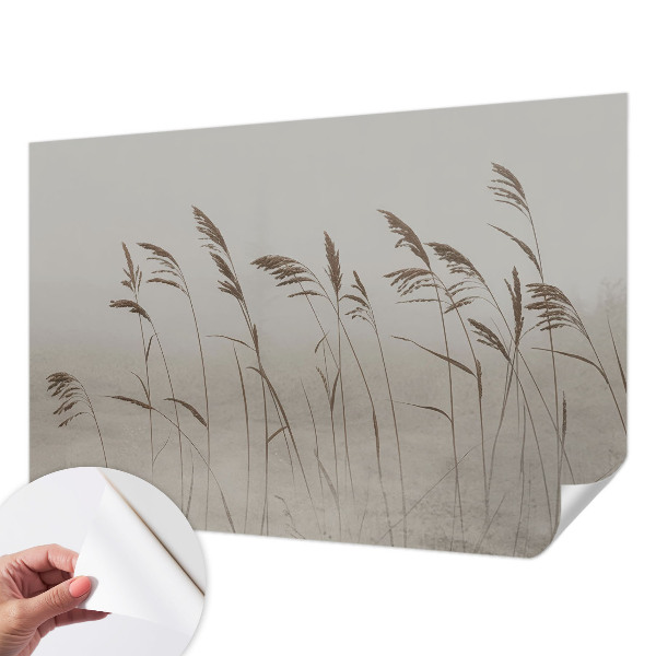 Fototapetai Žolės ir tagenai