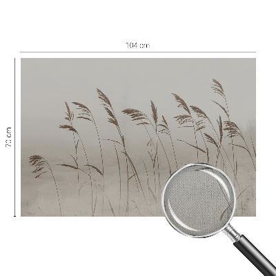 Fototapetai Žolės ir tagenai