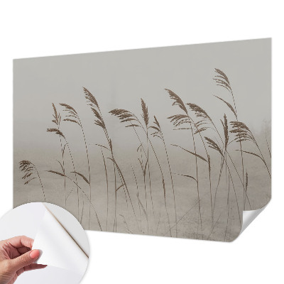 Fototapetai Žolės ir tagenai