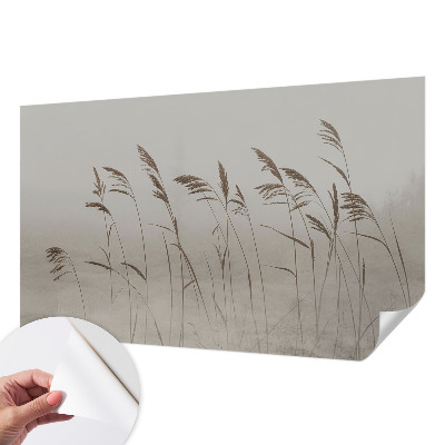 Fototapetai Žolės ir tagenai