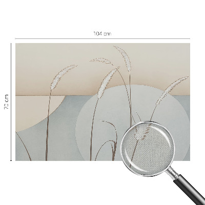 3D fototapetas sienoms Švelnūs žolynai