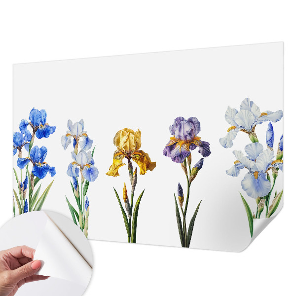 3D fototapetas sienoms su Irisblomster raštu