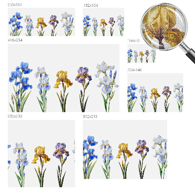 3D fototapetas sienoms su Irisblomster raštu