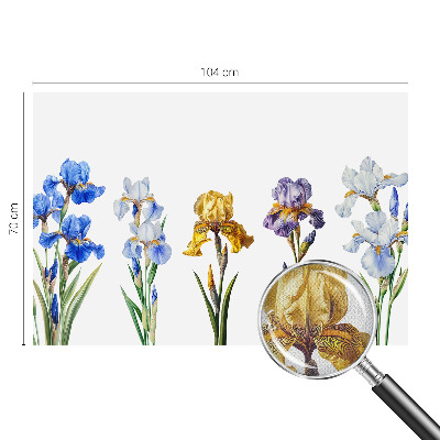 3D fototapetas sienoms su Irisblomster raštu