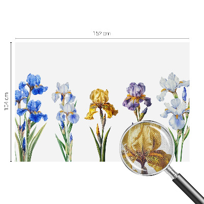 3D fototapetas sienoms su Irisblomster raštu